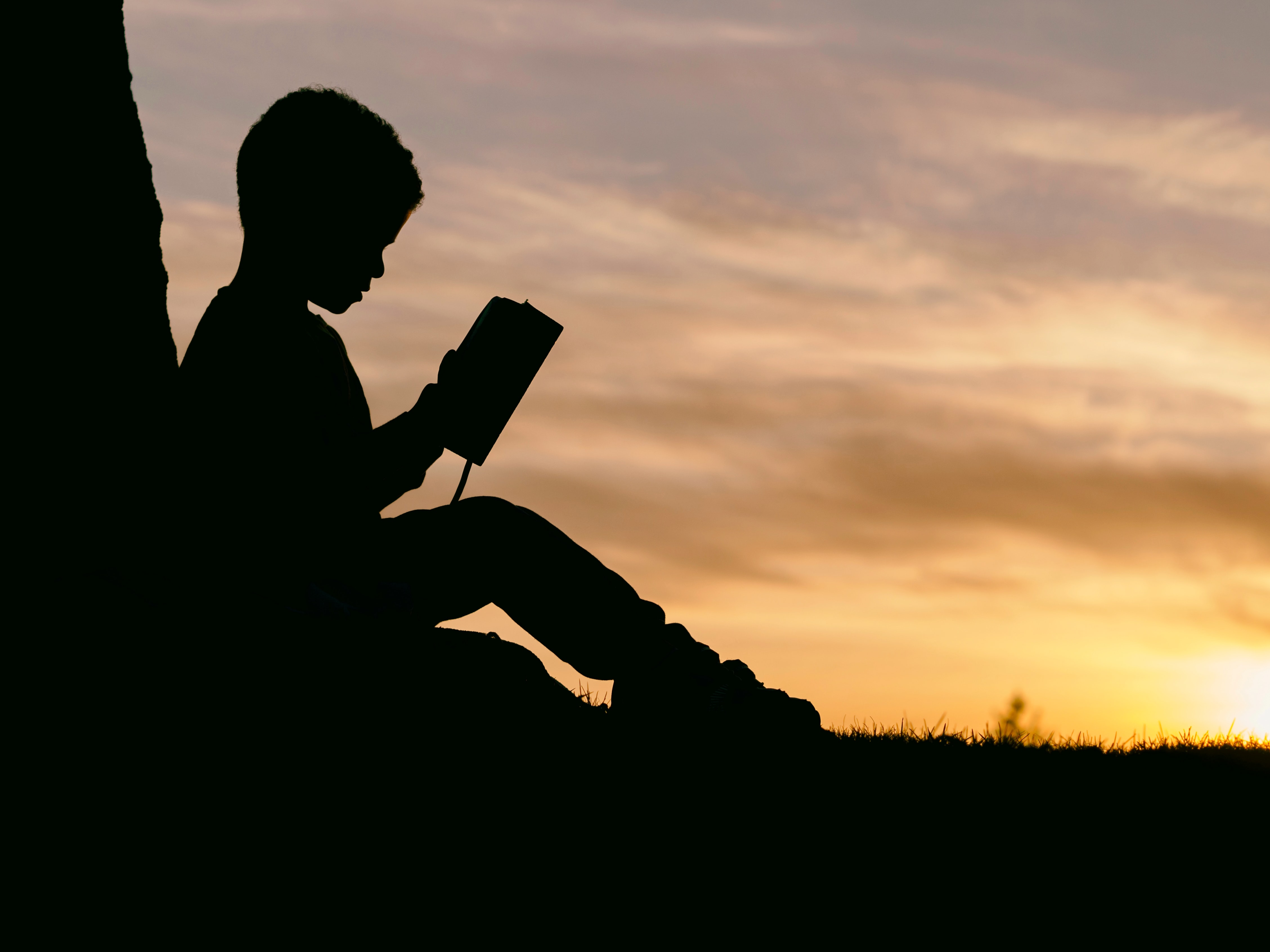 silhouette of boy reading   